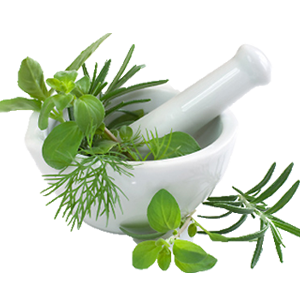 Herbs Amazing Image Download PNG Images