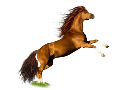 Horse Icon Clipart PNG PNG Images