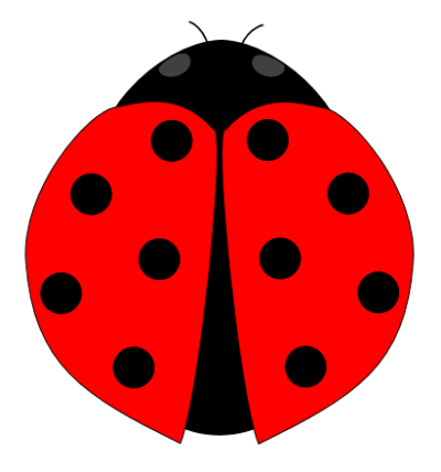 Ladybug Picture 25 PNG Images