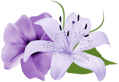 Water Lily Best Png PNG Images