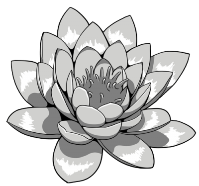 Clipart Photo Lotus Tattoos PNG Images