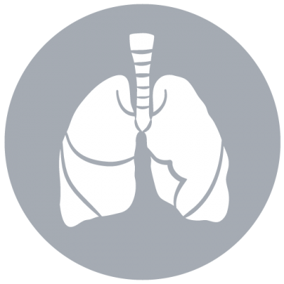 Images Lung Icon Png PNG Images