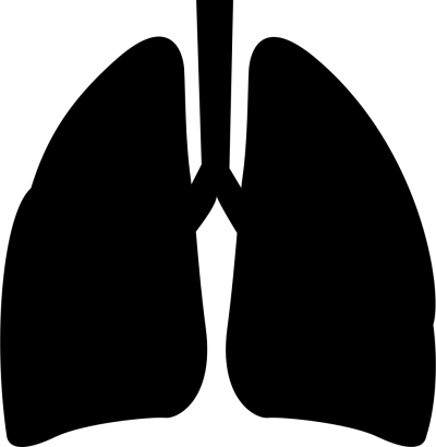 Lungs Dark Png Icon PNG Images