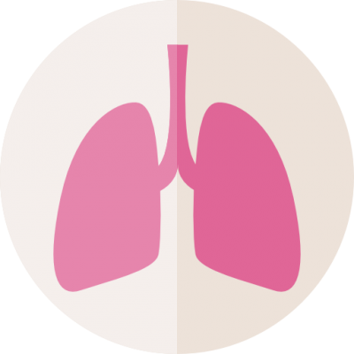 Lungs Icon Pictures PNG Images