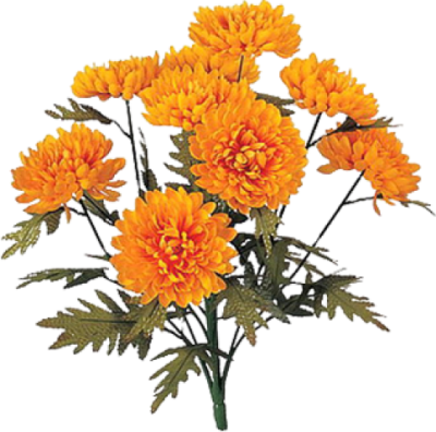 Marigold Icon Clipart PNG Images