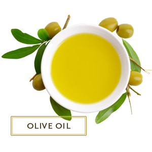 Original Olive Oil Pictures PNG Images