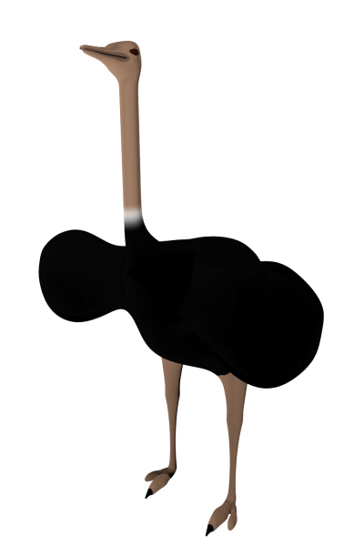 Black Ostrich Png Pictures PNG Images
