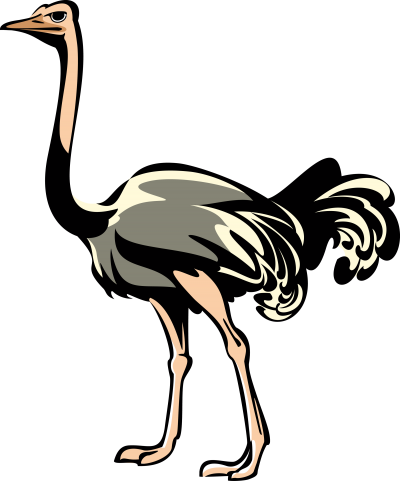 Learn About Heraldry Symbols Ostrich Png PNG Images