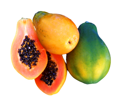 Fresh Papaya Png PNG Images