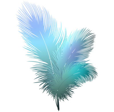 Bird, Feather Transparent PNG Images