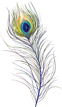 Peacock, Bird, Feather, Colorful, Eye, Png PNG Images
