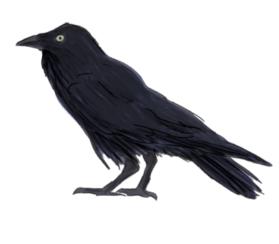 Raven Simple 8 PNG Images