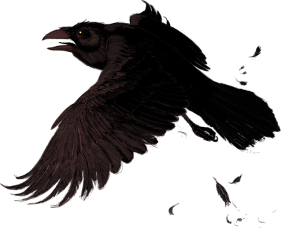 Raven Simple PNG Images