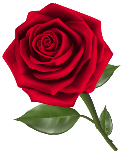 Rose Clipart Flowers Photo PNG Images