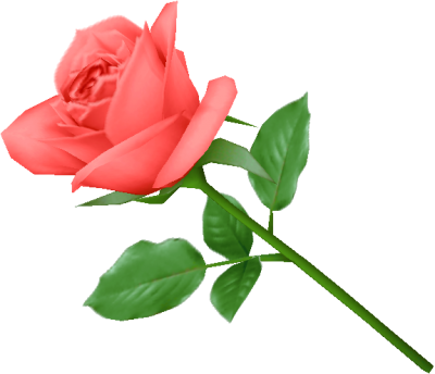 Single Pink Rose Image Picture PNG Images