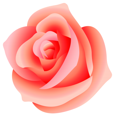 Pink Rose PNG Images