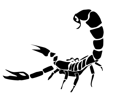 Scorpion Tattoos PNG Picture PNG Images