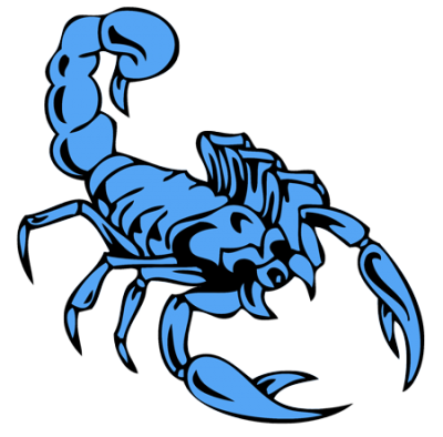 Vector Scorpion Tattoos PNG Images