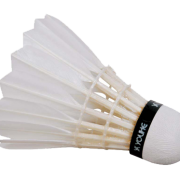 Simple Shuttlecock Png Transparent Images PNG Images