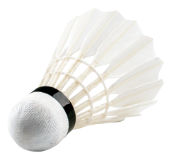 White Peacock Feather Png Images PNG Images