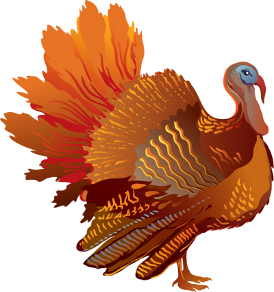 Clipart Turkey Png PNG Images