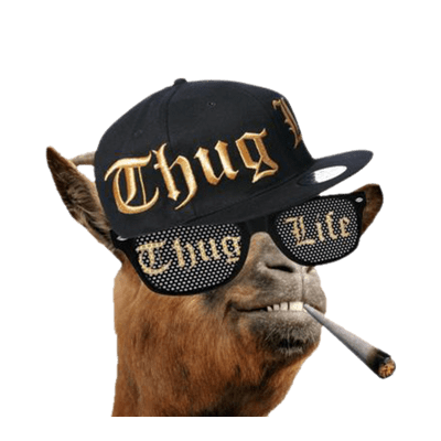Thug Life Meme Cut Out Png 16 PNG Images