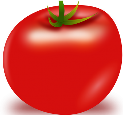 Tomato Single Clipart PNG Images