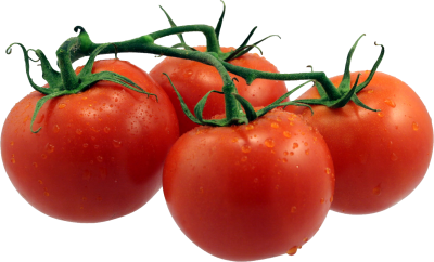 Tomato Vegetable Transparent PNG Images