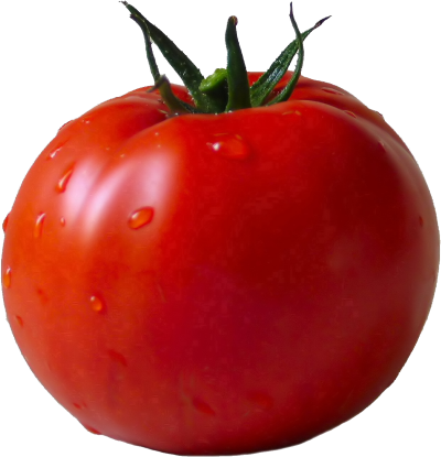 Tomato PNG Images