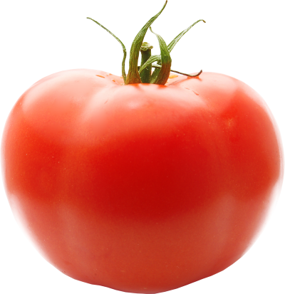 Tomato Picture PNG Images