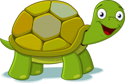 Turtle Cartoon Png PNG Images
