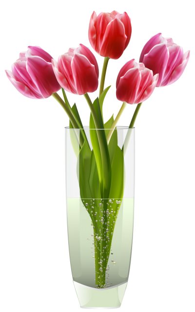 Pink Red Tulips Vase Png Clipart PNG Images