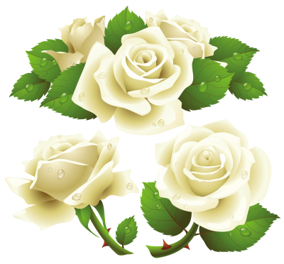 White Rose Cut Out Flowers PNG Images