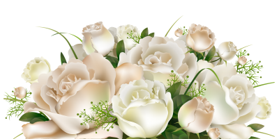 Download White Rose Bucket PNG PNG Images