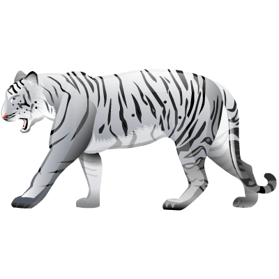 White Tiger High Quality PNG PNG Images