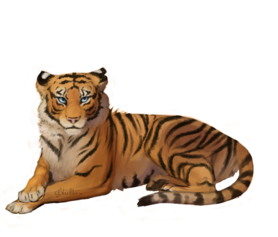 White Tiger Transparent Picture PNG Images
