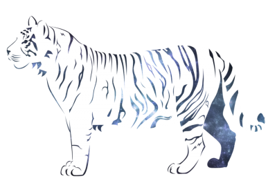 White Tiger HD Photo Png PNG Images
