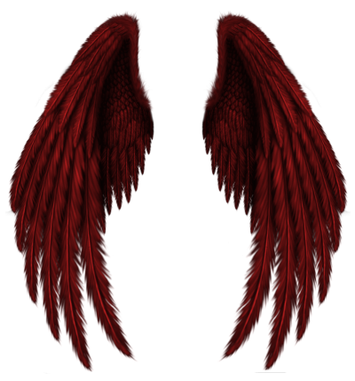 Wings Amazing Image Download PNG Images