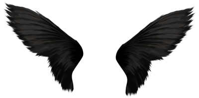 Download Black Wings PNG Images