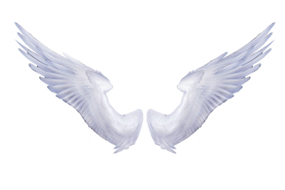Wings Best Photo Clipart PNG Images