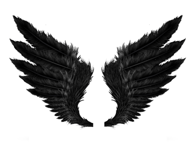 Wings Black Free Cut Out PNG Images