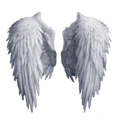 Wings Hd Icon PNG Images