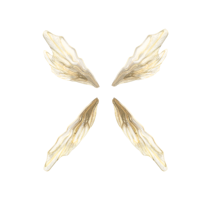 Wings Free Download Transparent PNG Images