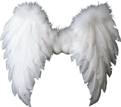 Angel Wings White Transparent PNG Images