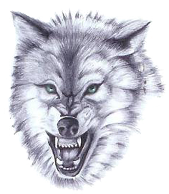 White Wolf Tattoos Designs Pictures PNG Images