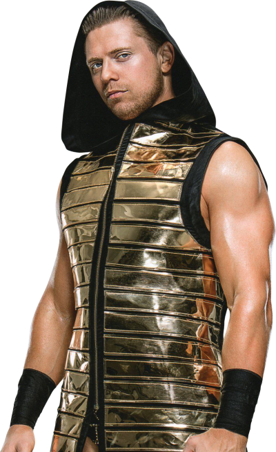 Chest Randy Orton, Wwe Superstars Transparent PNG Images