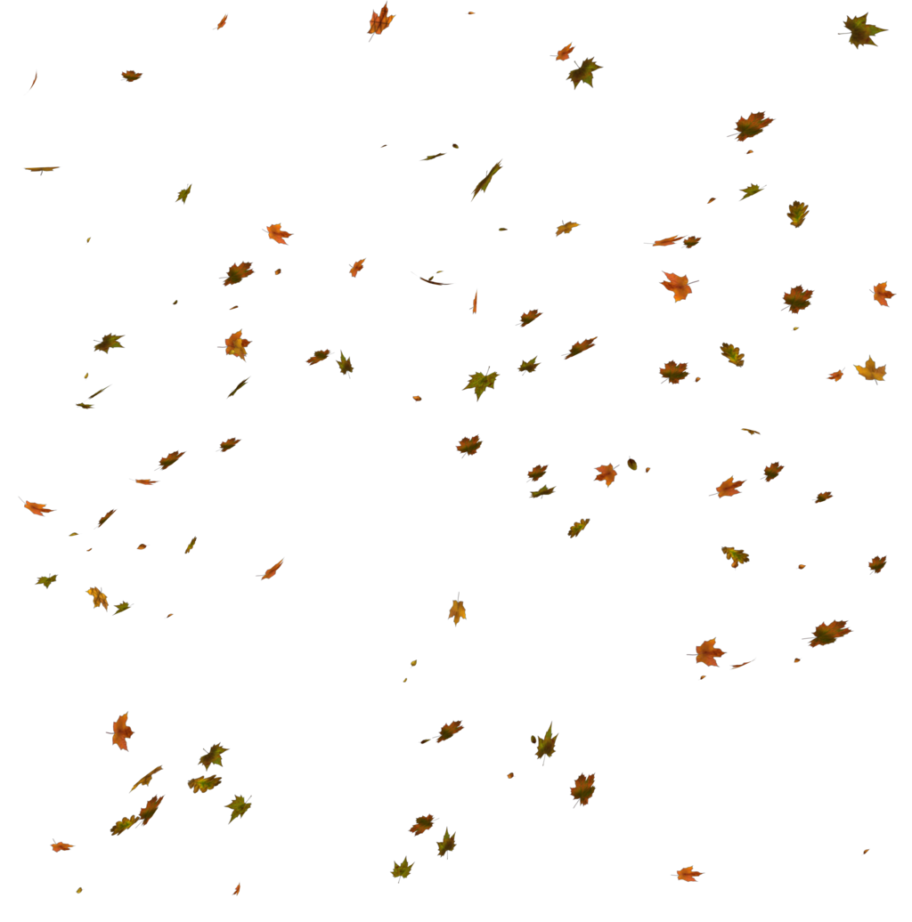 Autumn Leaves PNG Vector Images with Transparent background - TransparentPNG
