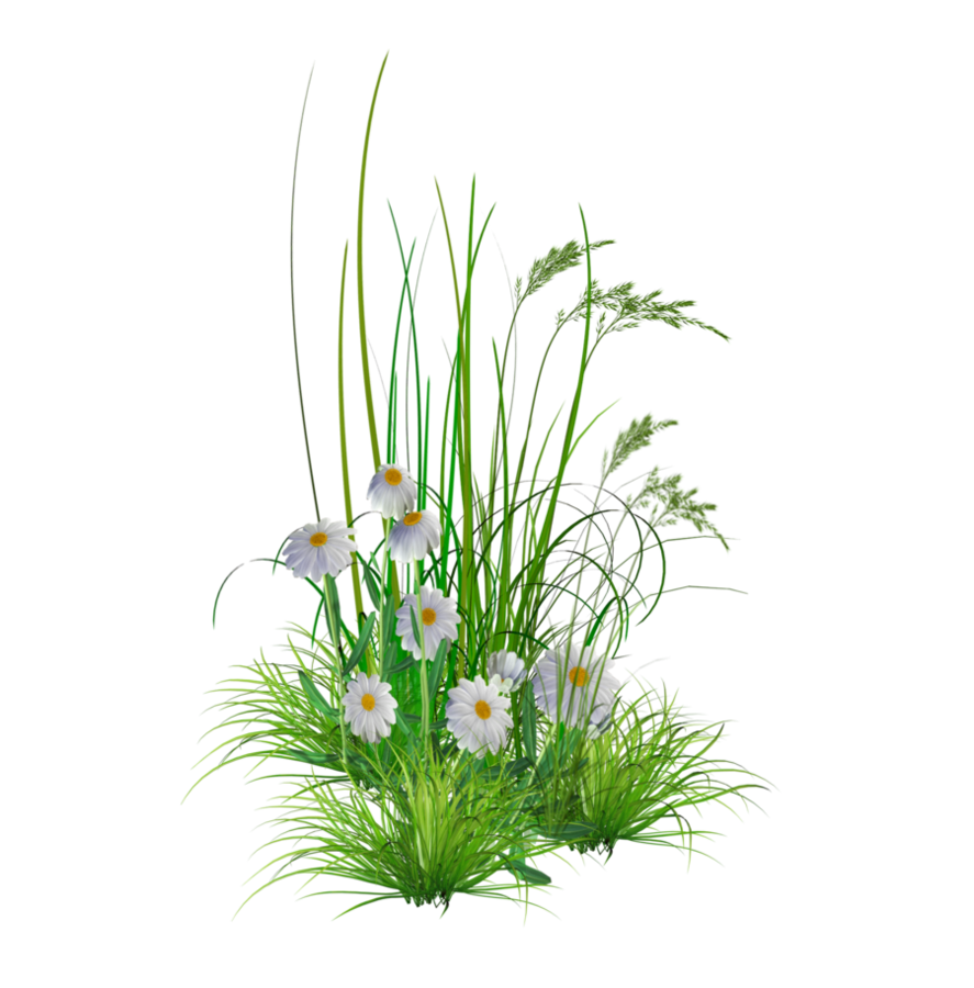 Garden Flowers PNG Transparent Background 887x900px - Filesize ...