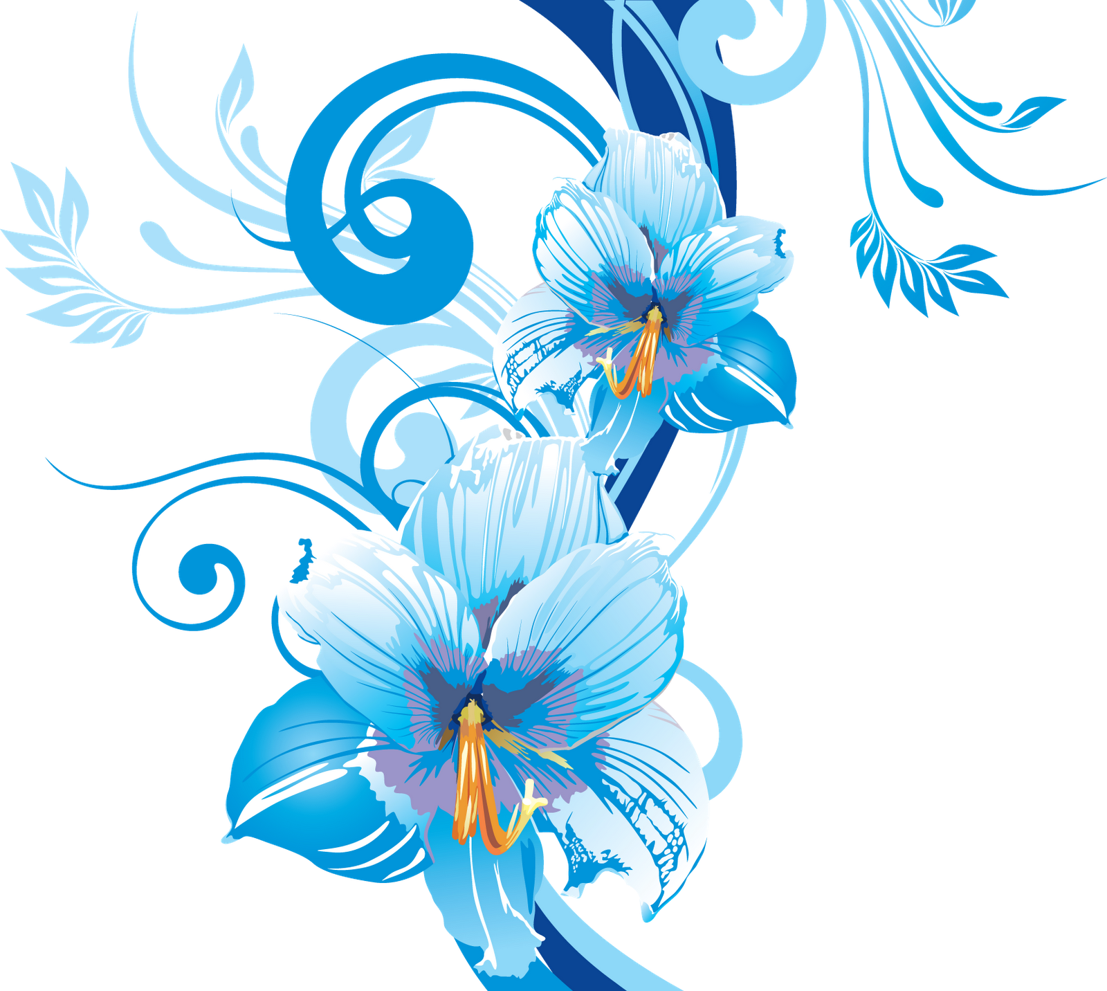 Blue Flower Vectors Various Desings Pictures PNG Transparent Background