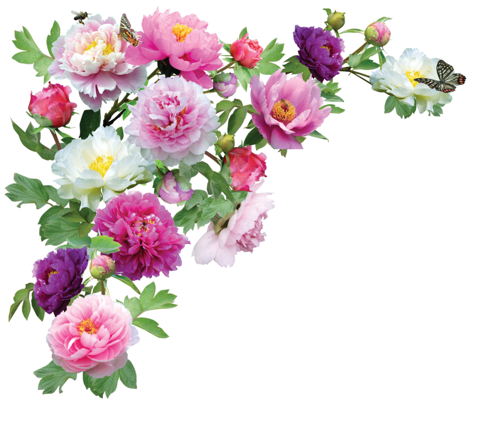 Garden Flowers Frame Free PNG Transparent Background 947x844px ...